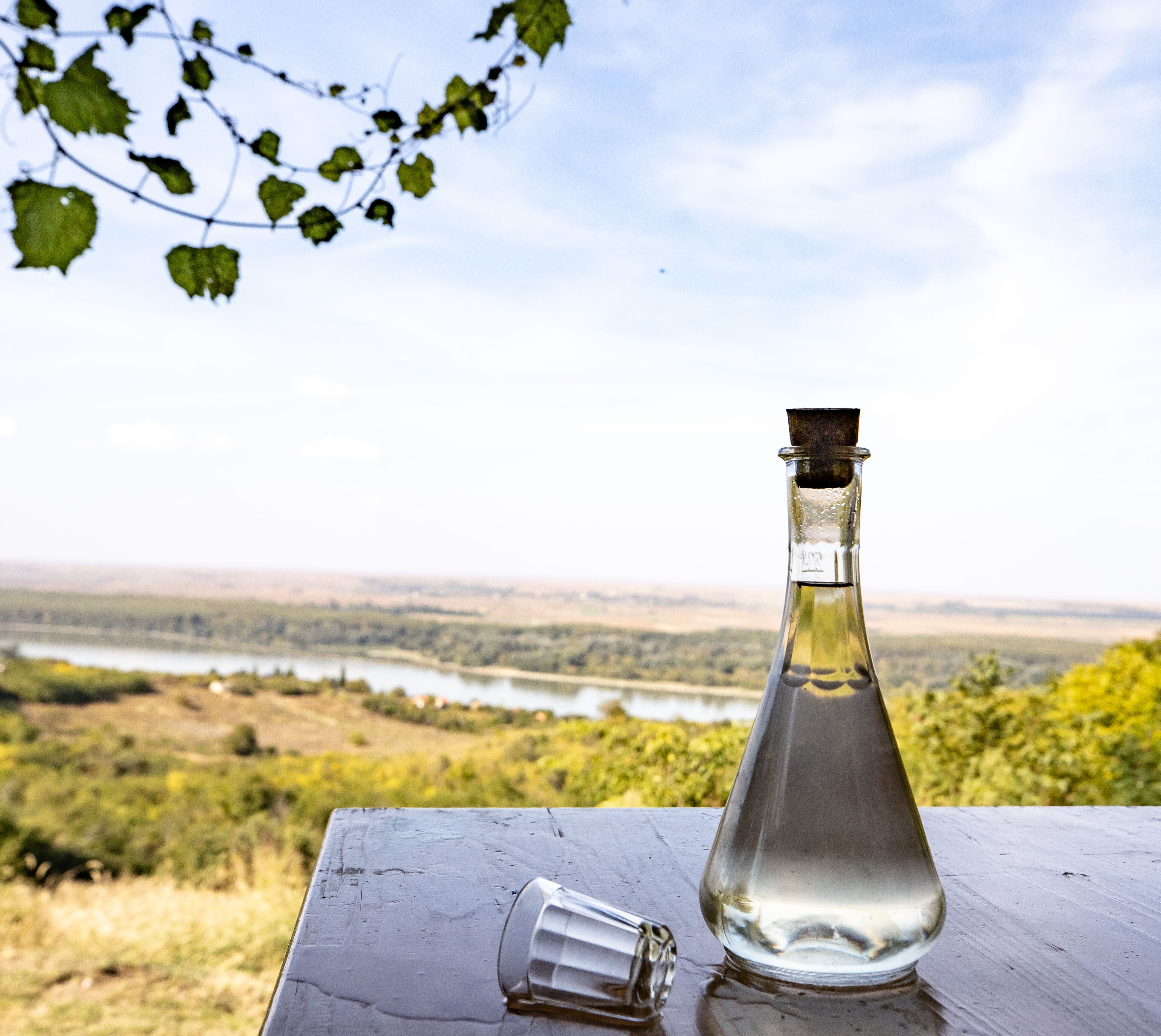 Traditional Greek tsipouro